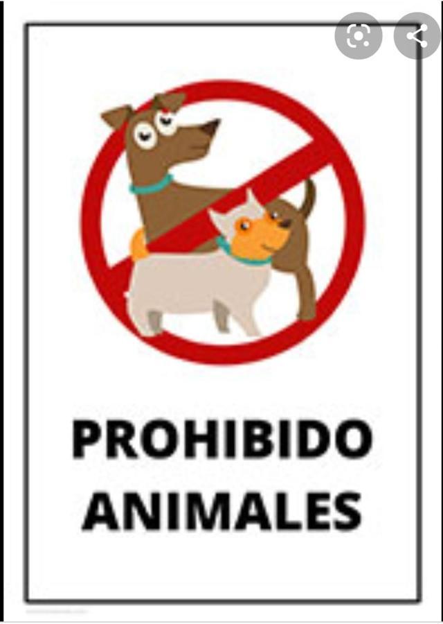 Pension Hidalgo 1 乌特雷拉 外观 照片